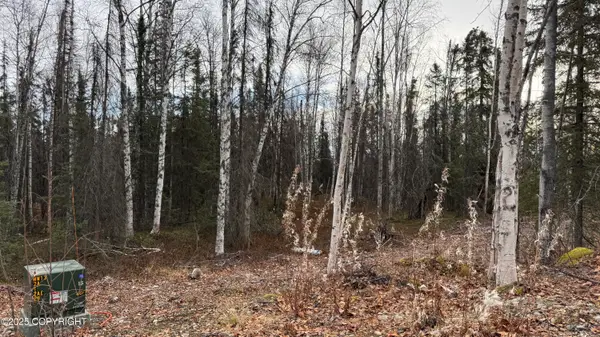 673 N Wilhelm Street, Houston, AK 99623