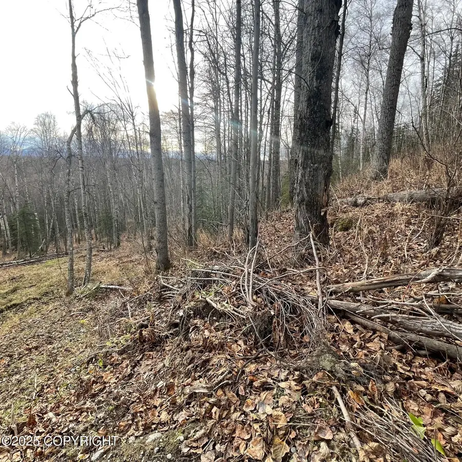 5500 W Birch Harbor Drive, Wasilla, AK 99623 - Image #2