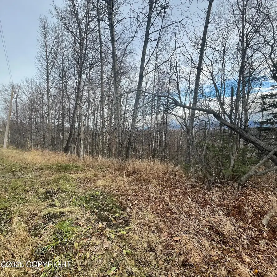 5500 W Birch Harbor Drive, Wasilla, AK 99623 - Image #3