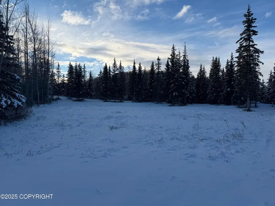 35251 W Glenn Highway, Chickaloon, AK 99674 - Image #3
