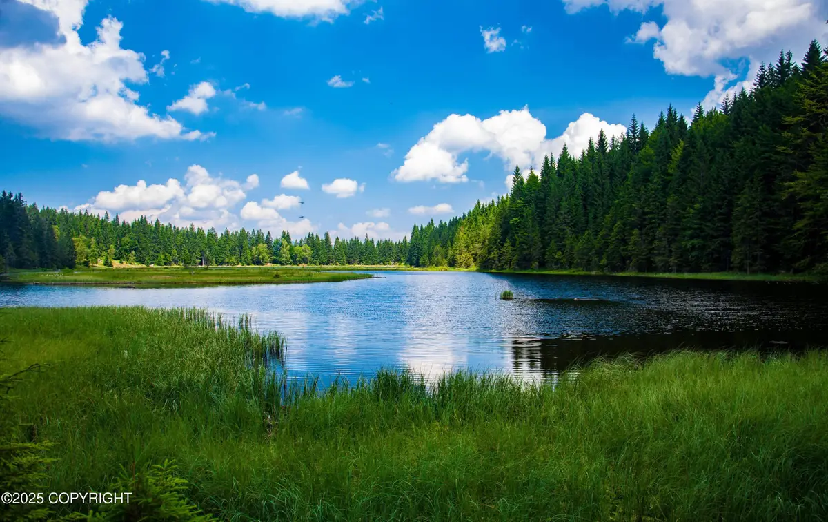 TR I Asls 85-015, Matanuska Susitna, AK 99000 - #1