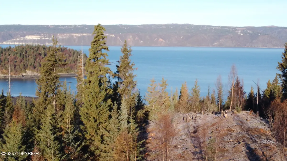L20 Pomeroy Road, Homer, AK 99603 - #1