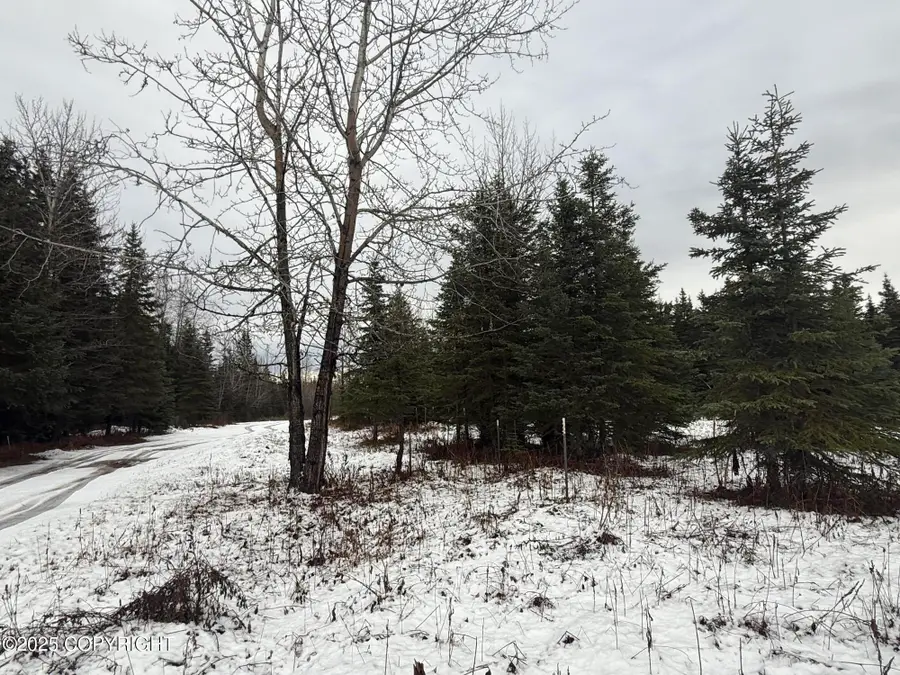 65201 Chamberlain Avenue, Ninilchik, AK 99639 - Image #3