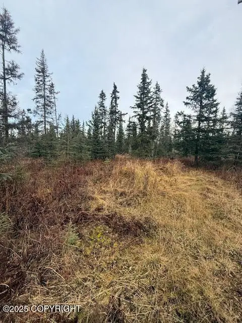 123 Johnny Road, Nikiski/North Kenai, AK 99611