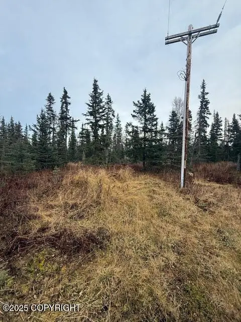 123 Johnny Road, Salamatof, AK 99611 - Image #2