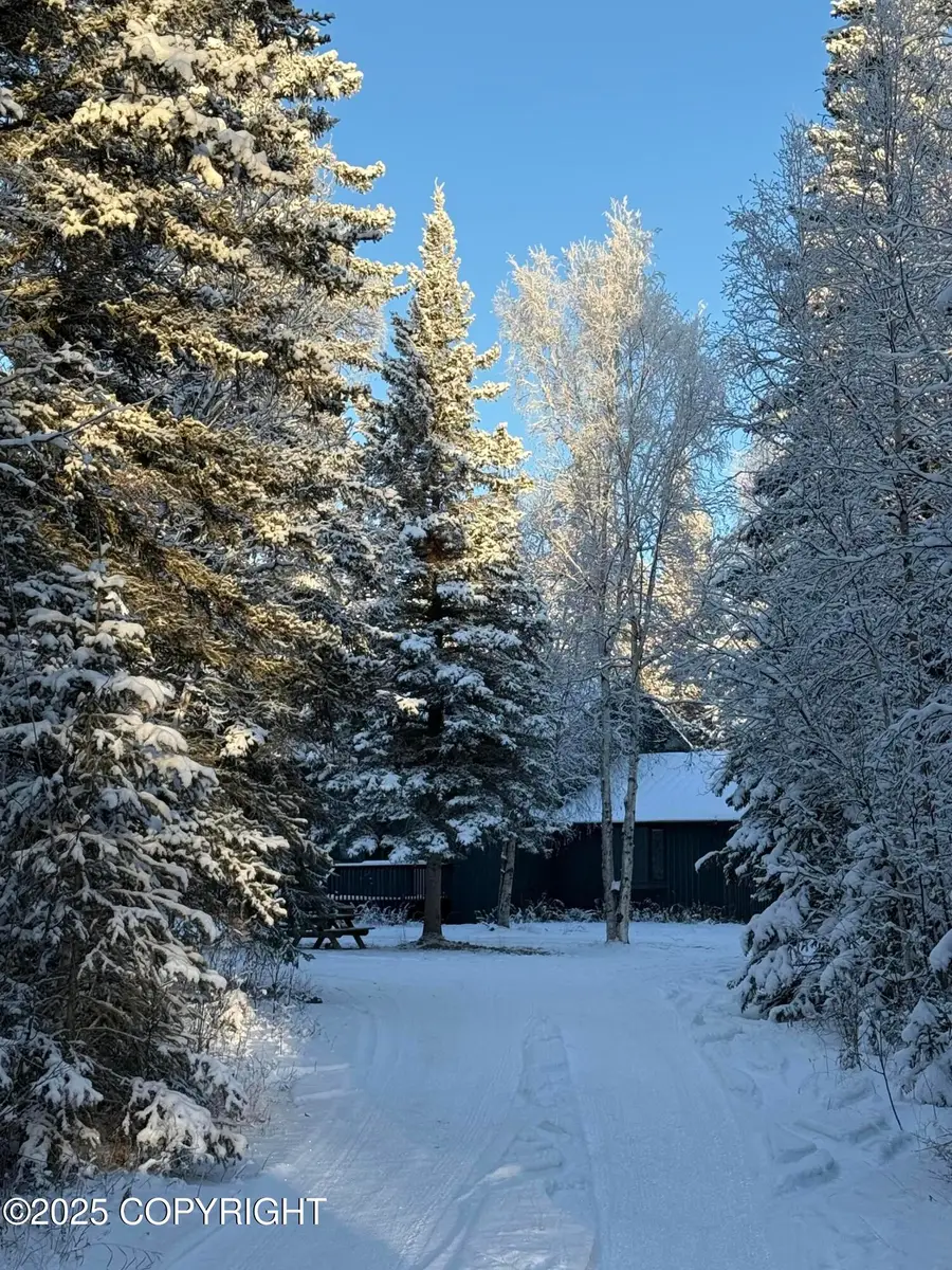 3448 Jack Warren Road, Delta Junction, AK 99737 - Image #2