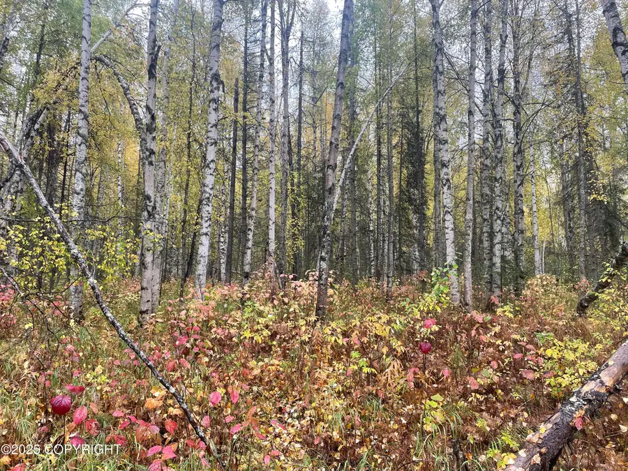 15714 E Angler Drive, Willow, AK 99688 - Image #2