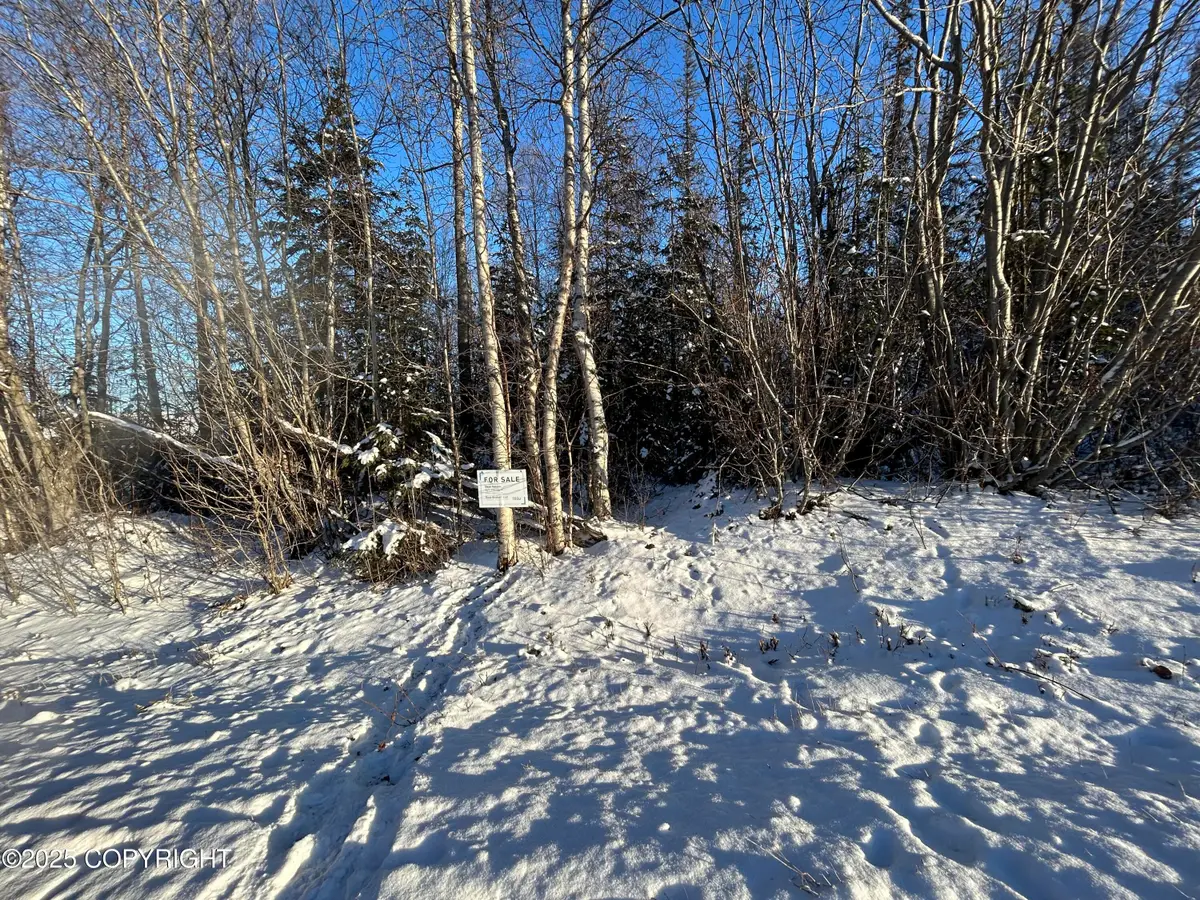 6493 S Viewport Way, Wasilla, AK 99623 - Image #1