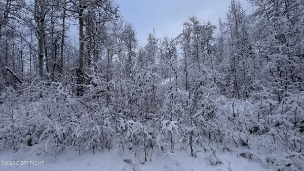 48609 S Tussle Circle, Willow, AK 99688