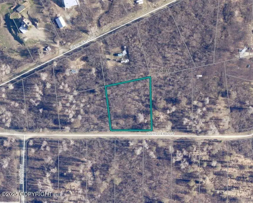 L13 Scenic View Loop, Nikiski, AK 99635 - Image #1