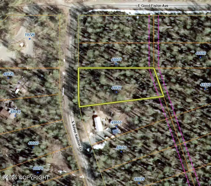 48617 S Silver Salmon Drive, Willow, AK 99688 - Image #3