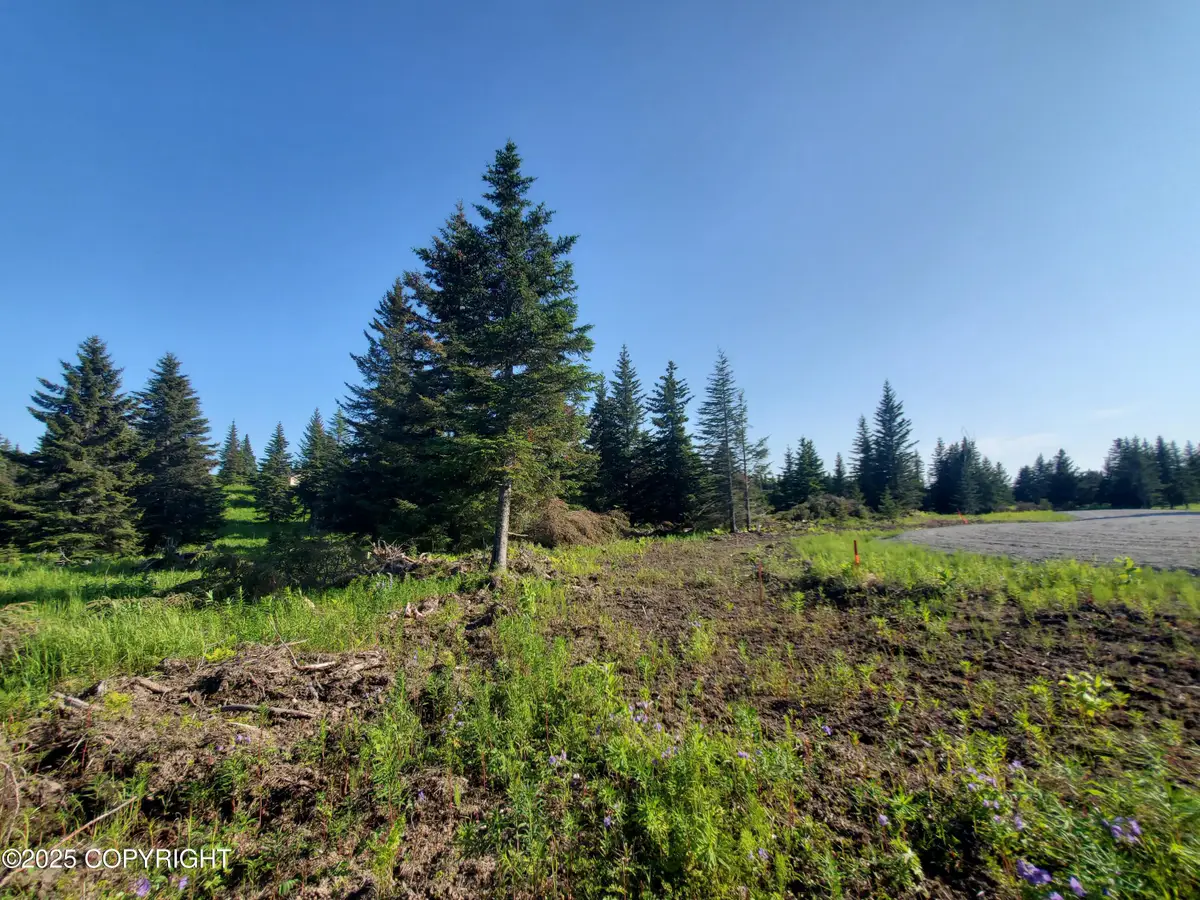 17436 Chefornak Street, Ninilchik, AK 99639 - Image #1