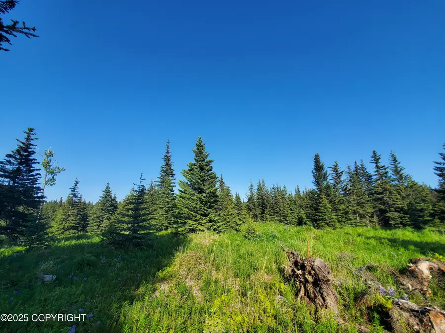 17436 Chefornak Street, Ninilchik, AK 99639 - Image #2