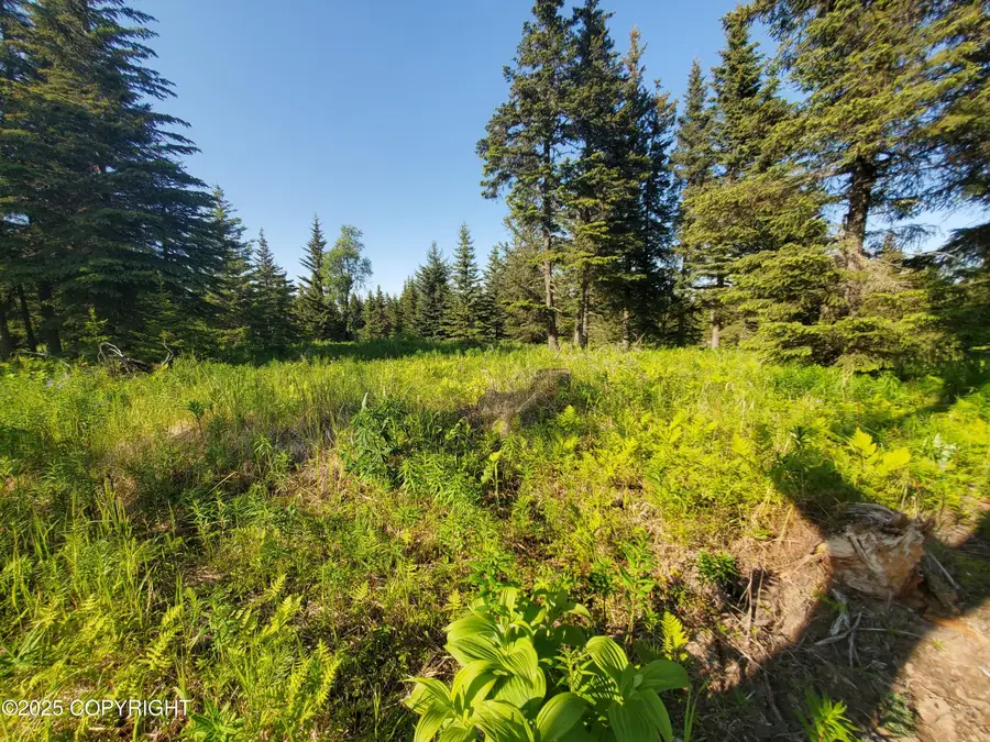 17436 Chefornak Street, Ninilchik, AK 99639 - Image #3