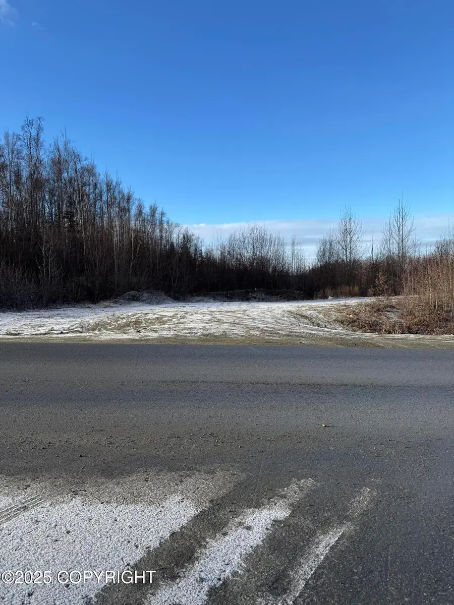 4284 S Burma Road, Big Lake, AK 99652 - Image #2