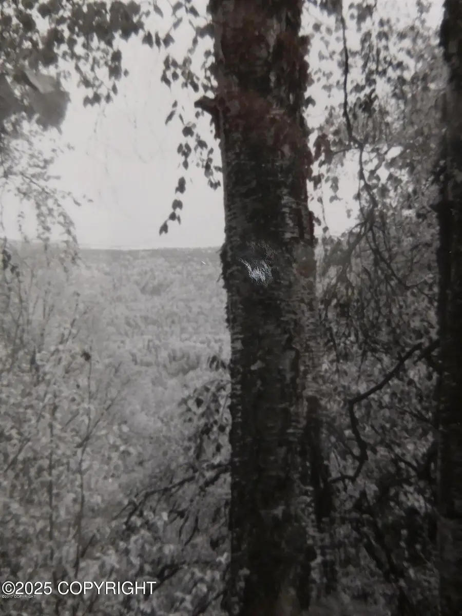 L3-1 Chase 2, Talkeetna, AK 99676 - Image #3