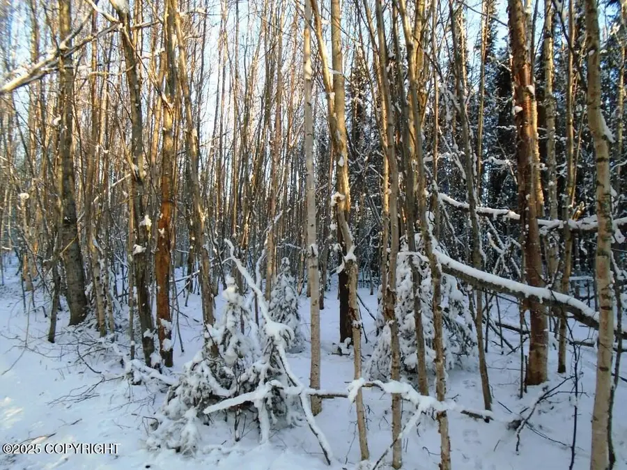 L1 W Shearwater Street, Wasilla, AK 99623 - Image #2