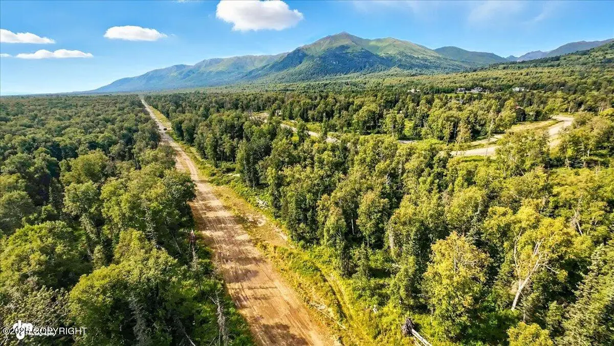 9541 E Hatcher Landing Avenue, Palmer, AK 99645 - Image #1