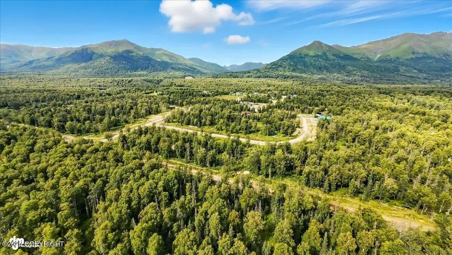 9541 E Hatcher Landing Avenue, Palmer, AK 99645 - Image #2