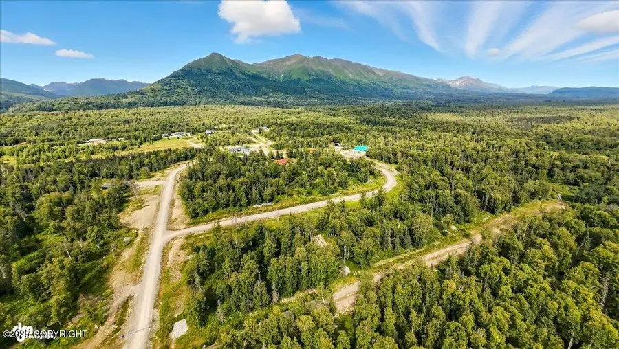 9541 E Hatcher Landing Avenue, Palmer, AK 99645 - Image #3