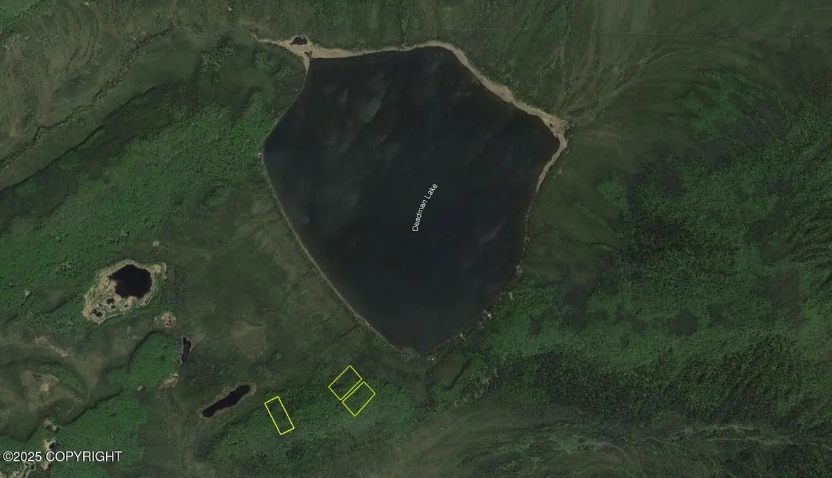 L2 B8 Deadman Lake (no Road), Manley Hot Springs, AK 99756 - Image #1