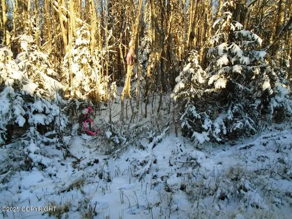 6661 S Lark Circle, Wasilla, AK 99654