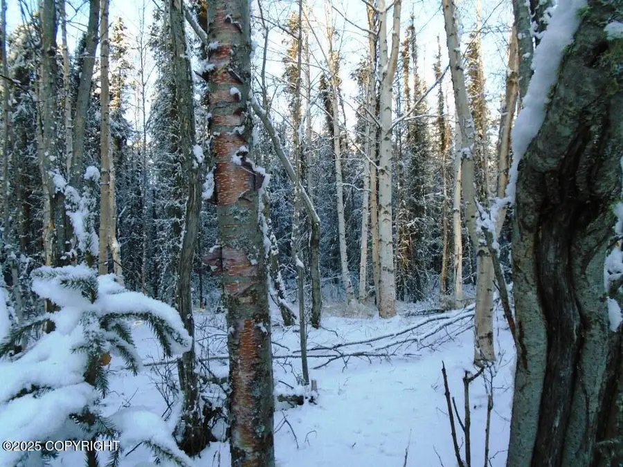 6677 S Lark Circle, Wasilla, AK 99654 - Image #3