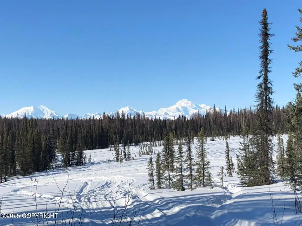 TR C No Road, Trapper Creek, AK 99683 - Image #1