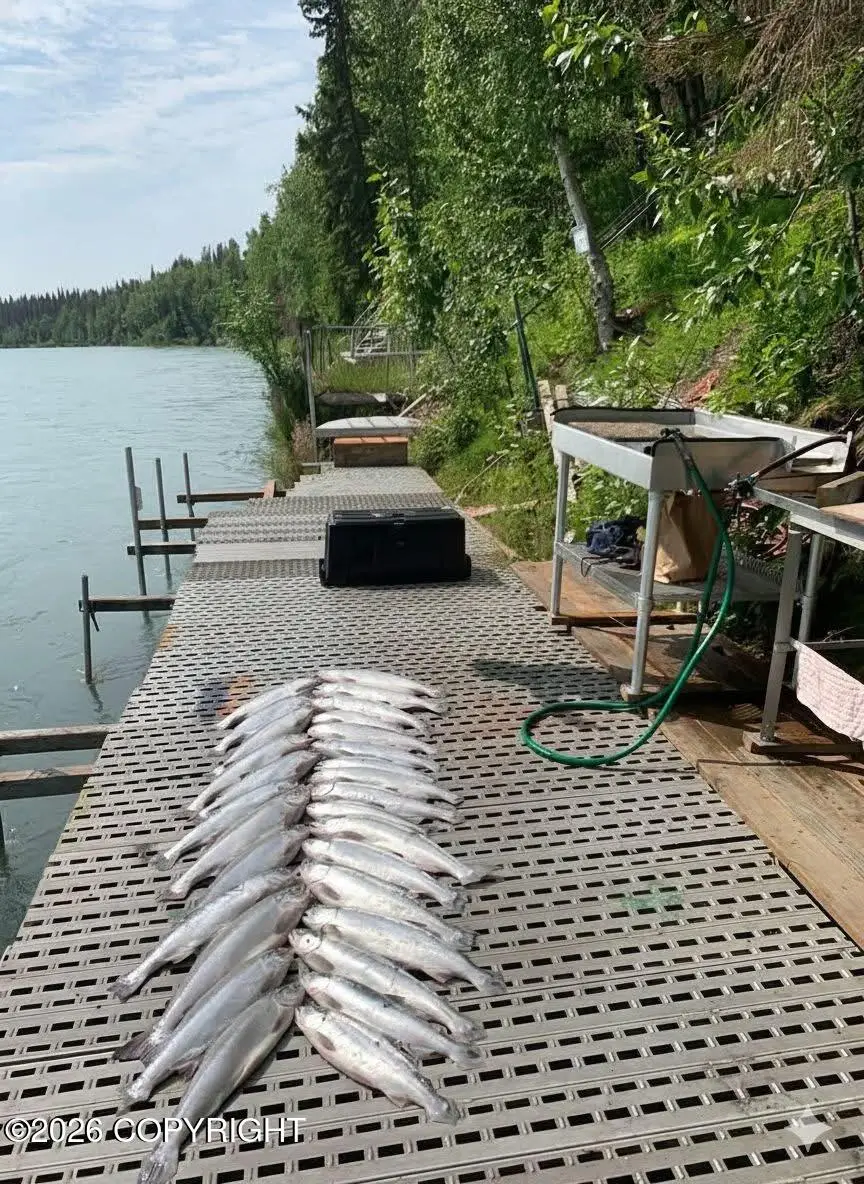 225 Small Circle, Soldotna, AK 99669 - Image #3