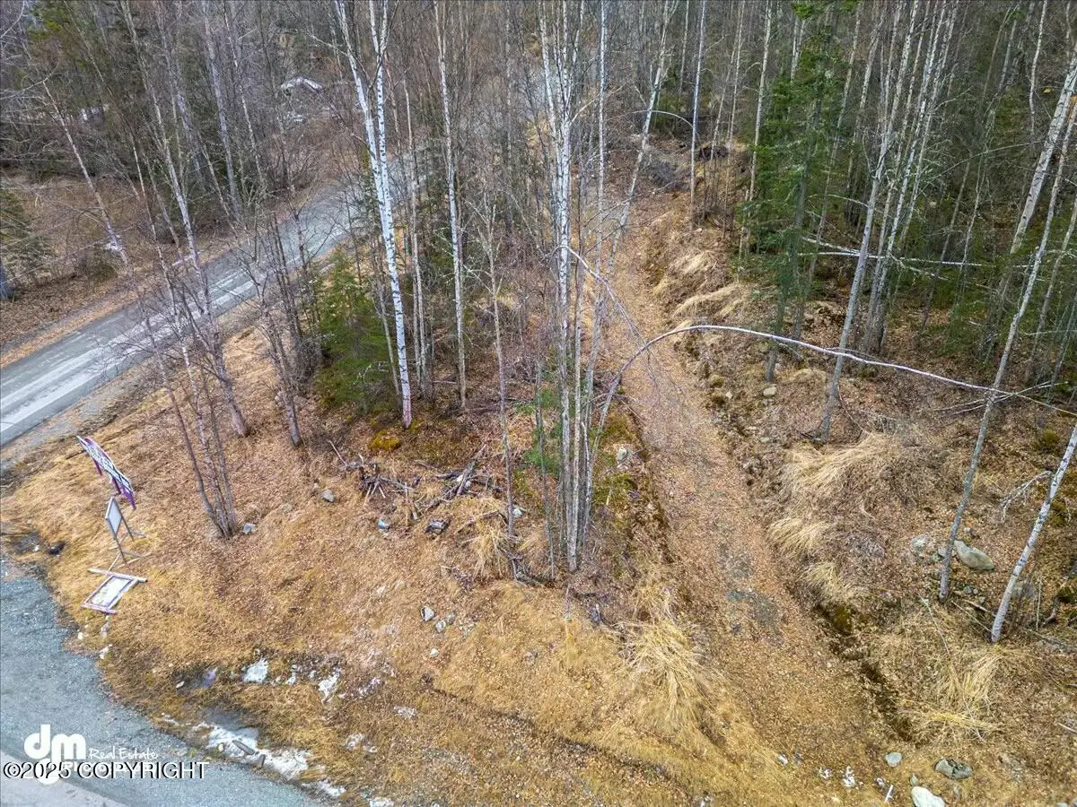 L11 Jasmine Road, Chugiak, AK 99567 - Image #1