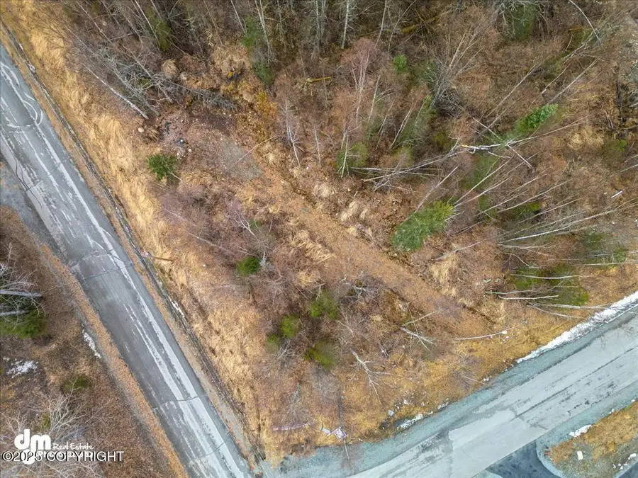 L11 Jasmine Road, Chugiak, AK 99567 - Image #3