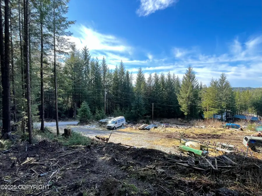 L2B9 Huckleberry Drive, Naukati Bay, AK 99950 - Image #2