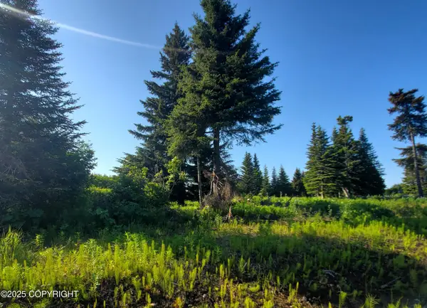 17619 Chefornak Street, Ninilchik, AK 99639