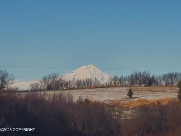 17693 Chefornak Street, Ninilchik, AK 99639