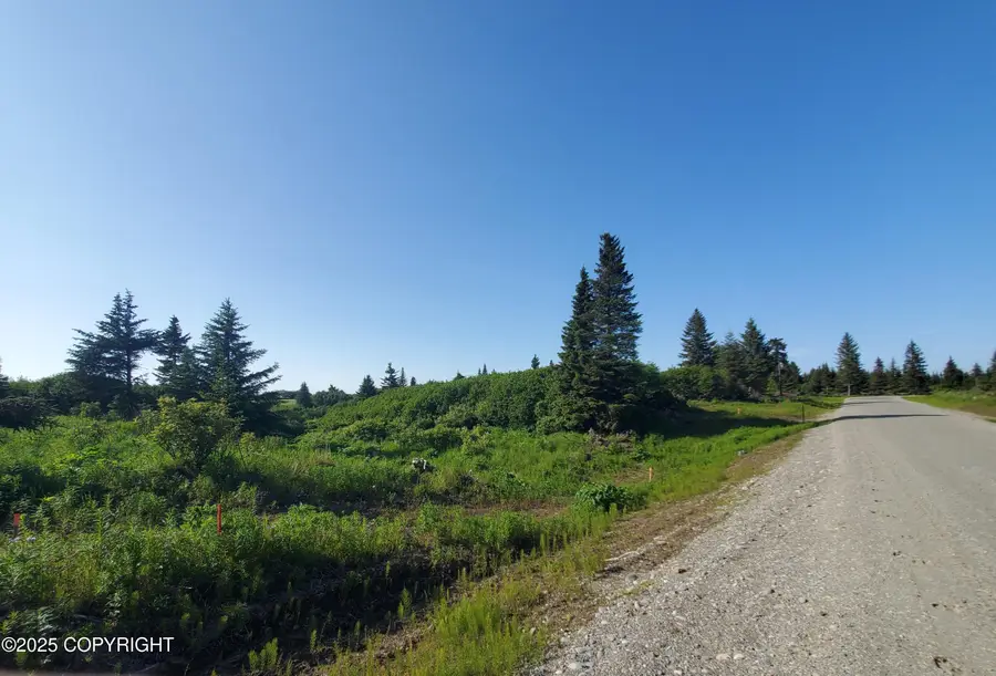 17657 Chefornak Street, Ninilchik, AK 99639 - Image #2