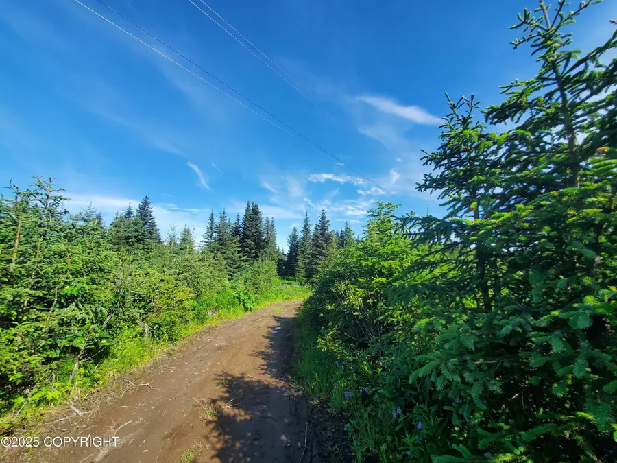 17617 Kimeluk Street, Ninilchik, AK 99639 - Image #2