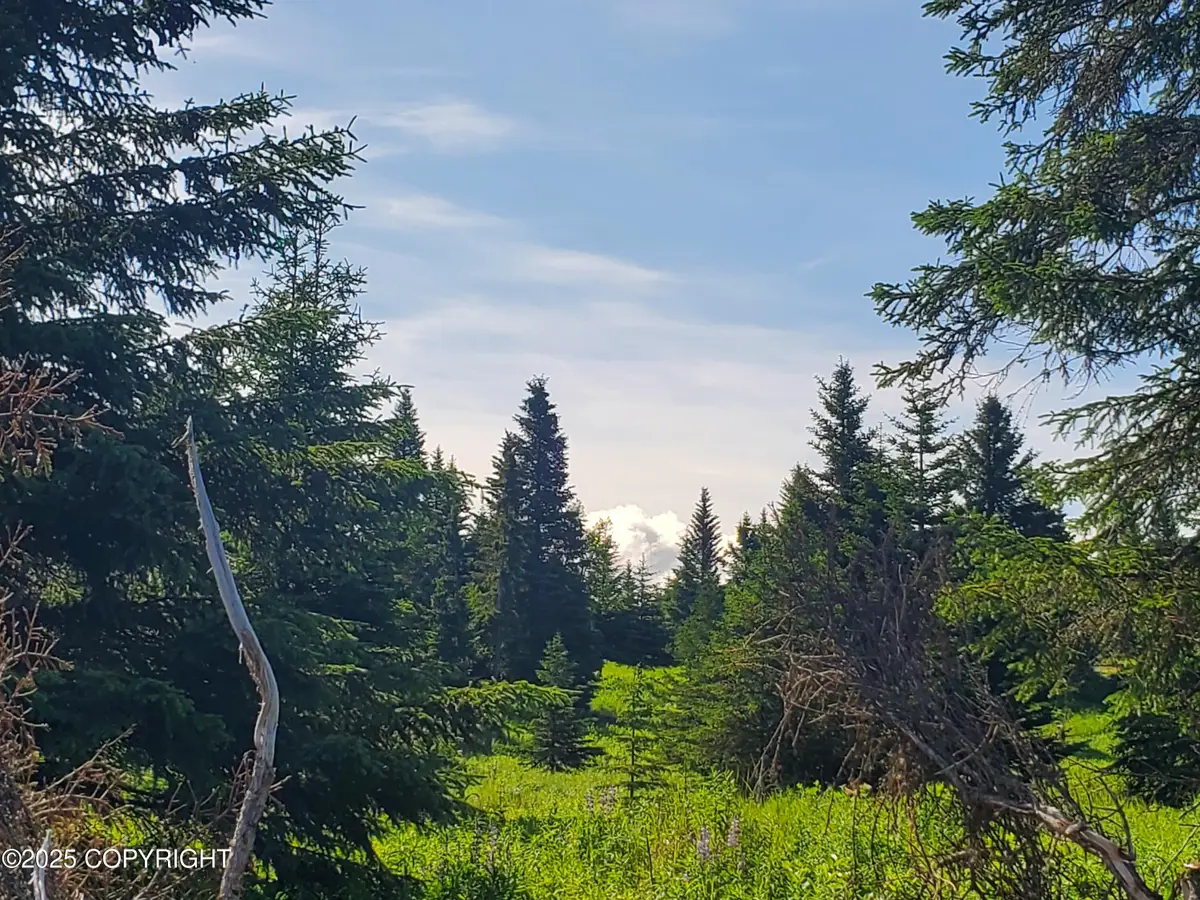 17490 Chefornak Street, Ninilchik, AK 99639 - Image #1