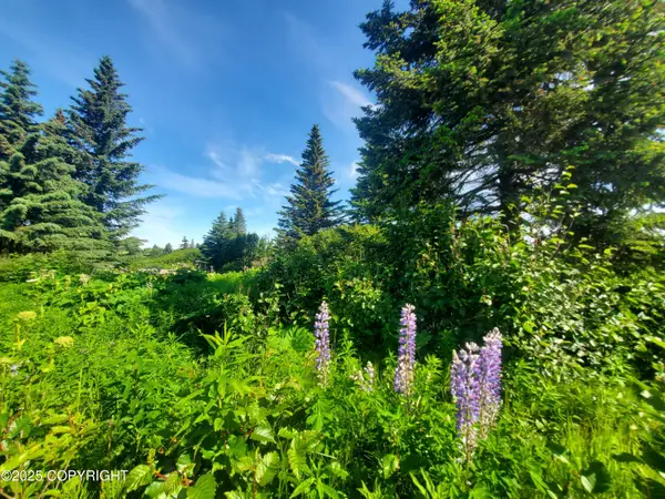 17664 Chefornak Street, Ninilchik, AK 99639