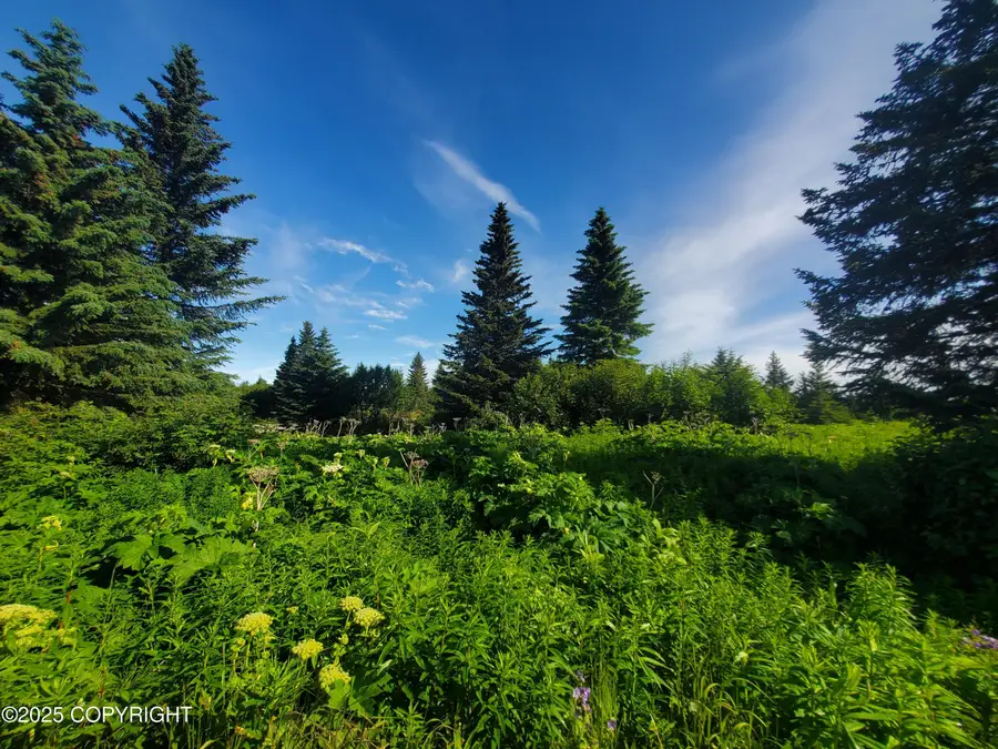 17664 Chefornak Street, Ninilchik, AK 99639 - Image #2