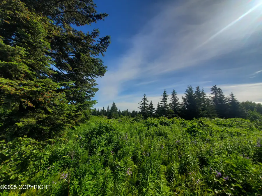 17664 Chefornak Street, Ninilchik, AK 99639 - Image #3