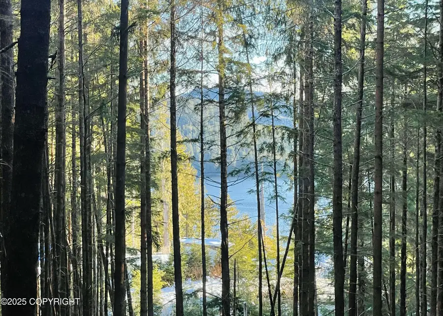 L7B13 Bayview Drive, Naukati Bay, AK 99950 - Image #3