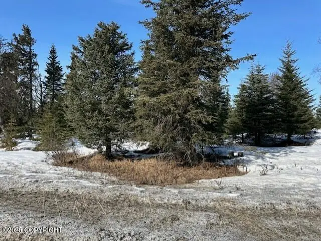 66350 Oil Well Road, Ninilchik, AK 99639 - Image #2