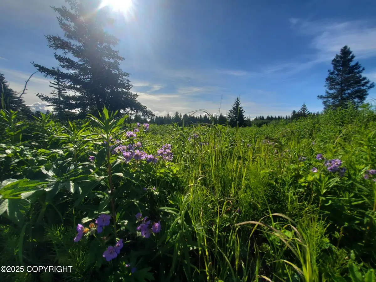 17626 Chefornak Street, Ninilchik, AK 99639 - Image #1