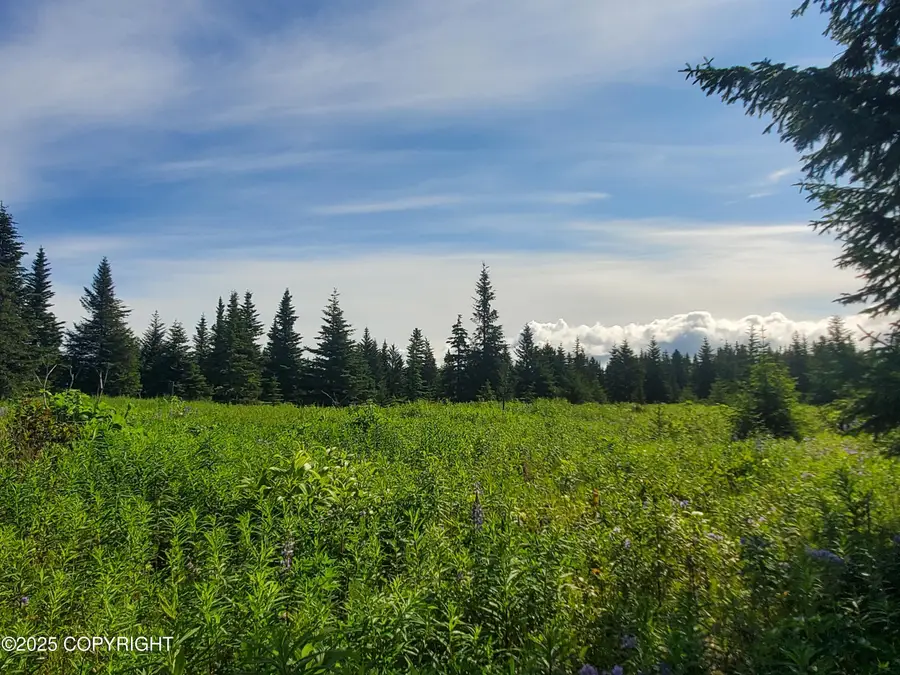 17626 Chefornak Street, Ninilchik, AK 99639 - Image #2