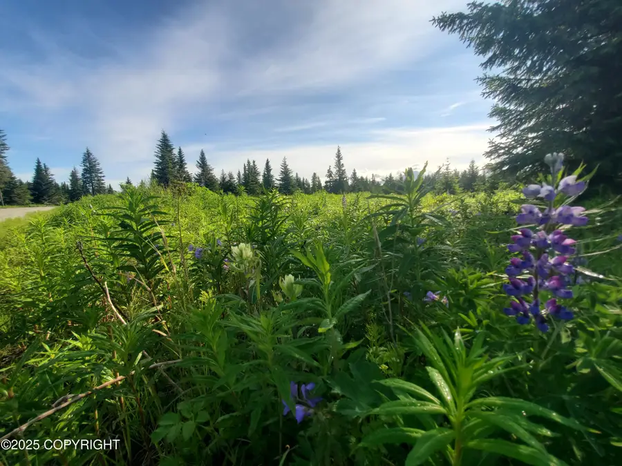 17626 Chefornak Street, Ninilchik, AK 99639 - Image #3