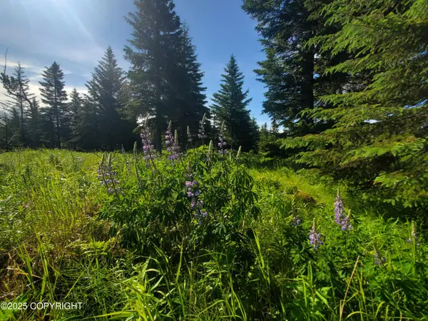 17528 Chefornak Street, Ninilchik, AK 99639