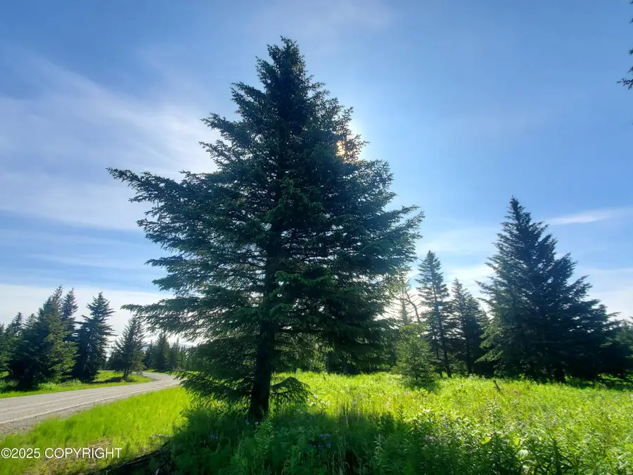 17528 Chefornak Street, Ninilchik, AK 99639 - Image #2