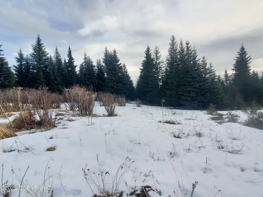 17491 Kimeluk Street, Ninilchik, AK 99639 - Image #3