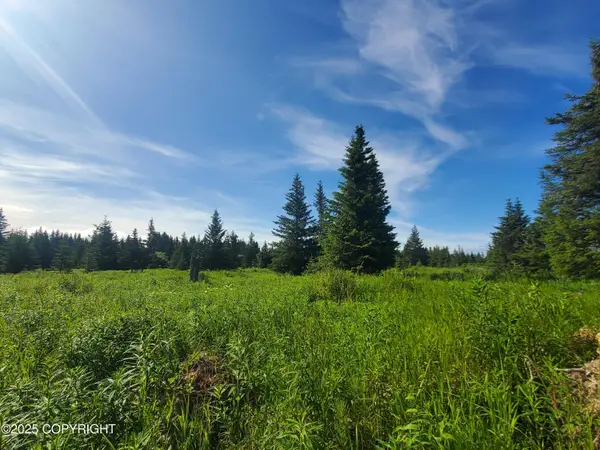 17584 Chefornak Street, Ninilchik, AK 99639