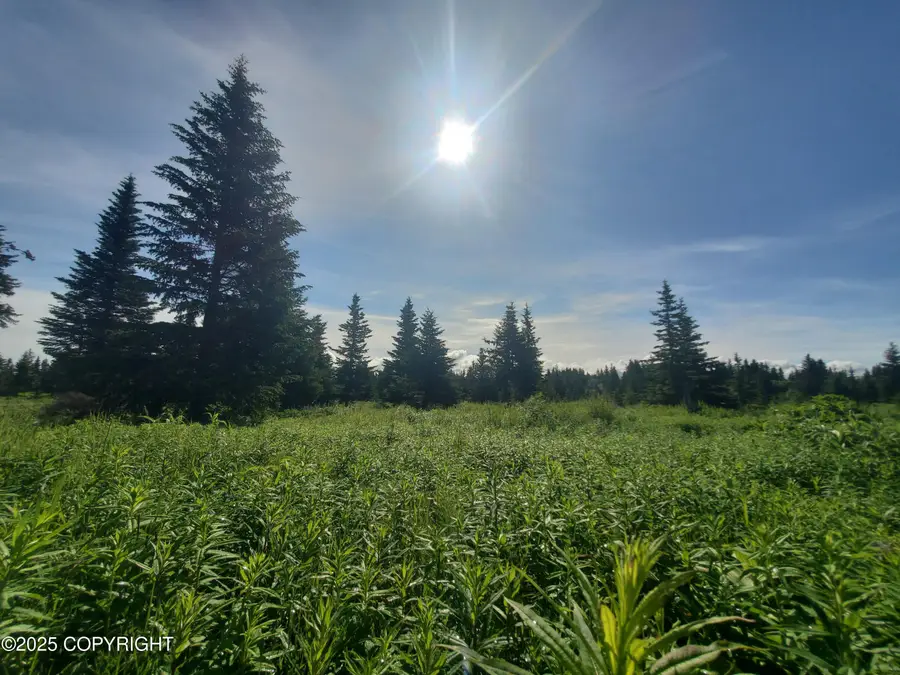 17584 Chefornak Street, Ninilchik, AK 99639 - Image #3